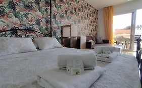 Carolina Apartment